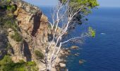 Excursión Senderismo Begur - platja de Pals - Cap Begur - Photo 6