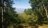 Tour Wandern Étrembières - Etrembieres - Camp des Allobroges - Photo 1