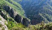 Trail Walking Prévenchères - Garde Guérin /Gorges du chassezac - Photo 10