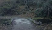 Excursión Senderismo Taurinya - les llacereras au départ taurynia - Photo 1