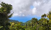 Trail Walking Saint-Claude - Guadeloupe - Chute du Galion - La Citerne - Photo 3