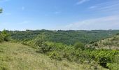 Excursión Senderismo Verfeil-sur-Seye - Boucle verfeil  - Photo 6