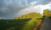 Percorso A piedi Wiesenbach - Rundwanderweg Am Sportplatz 2: Judenwald-Weg - Photo 1