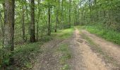 Tour Wandern La Chapelle-Enchérie - La Chapelle-Enchérie - Bois de Bricsard - Photo 6