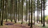 Tocht Stappen Gouvy - Promenade vers la réserve naturelle 