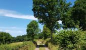 Tocht Stappen Sprimont - Banneux - Rouge Thier - Adzeux - Photo 1