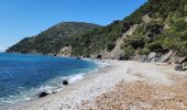 Tour Wandern La Seyne-sur-Mer - Fabregas, parking des bœufs, plage des nudistes, notre dans de mai - Photo 5