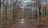 Randonnée Marche Limbourg - Par Grunhaut - Photo 1