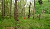 Trail On foot Belgern-Schildau - Schildau - Sitzenroda - Ochsensaal - Schildau - Photo 5