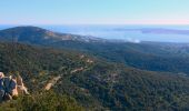 Trail Walking Le Plan-de-la-Tour - Autour du rocher de San Peyre - Photo 8