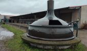 Trail Walking Dentergem - Wakken - Photo 17