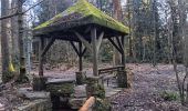 Trail Walking Spa - tour des 10 sources  - Photo 16