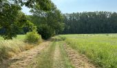 Randonnée Marche Hérinnes - Herfelingen 16 km - Photo 13