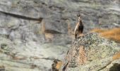 Randonnée A pied Valsavarenche - IT-2A - Photo 8