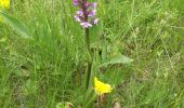 Tour Wandern Le Sauze-du-Lac - balade balcons du lac 300521 - Photo 14