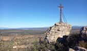 Excursión Senderismo Esparron - les Crêtes d'Artigues 21.12.2024 - Photo 2