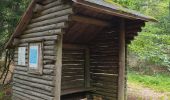 Tocht Stappen Grandfontaine - Positions fortifiées du Donon sentier des casemates - sud - Photo 8