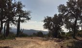 Tour Wandern La Londe-les-Maures - le dolmen de Gauttabri - Photo 3