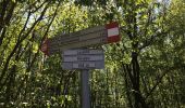 Percorso A piedi Lecco - Sentiero 1: Malnago - Rifugio Azzoni - Photo 6