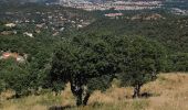 Trail Walking Montesquieu-des-Albères - Collioure Montesquieu les Albères - Photo 1