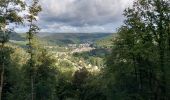 Trail Walking Vresse-sur-Semois - Bohan 150922 - Photo 18