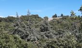 Randonnée Marche Vitrolles-en-Luberon - 360° au dessus de Vitrolles en Luberon - Photo 1