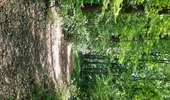 Trail Walking Dalhem - mortroux DA7  - Photo 10