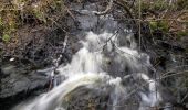 Percorso A piedi Lempäälä - Birgitan Polku - Photo 1