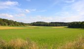 Excursión A pie Gomadingen - Nebenweg - Ebingen - Weg Nr. 1 - Engesboch - Waldheim - Schloßfelsen - Ebingen - Holzhalde - Photo 8