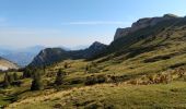 Trail Walking Saint-Pierre-de-Chartreuse - La Grande Sûre - Photo 2