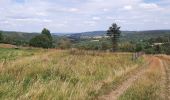 Tocht Stappen Lierneux - GR 14 BANEUX - CIELLE  - Photo 2