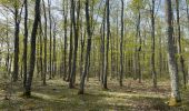 Tour Wandern Perreux - Perreux : bois de La Ronzière - Photo 6