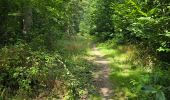 Trail Walking Fleury-Mérogis - Fleury-Méfrogis - Forêt Régionale de Saint-Eutrope - Photo 6