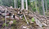 Tour Zu Fuß Mudau - Rundwanderweg Reisenbacher Grund 3 - Photo 6