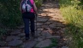Trail Walking Fiumicino - Montefiascone / Viterbo - Photo 10