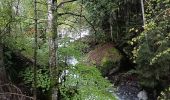 Tocht Stappen Plancherine - Abbaye de Tamié - Photo 2