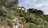 Trail Walking Ollioules - Les grottes de Chateauvallon - Photo 9
