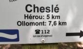 Trail Walking Houffalize - Sandrine: le hérou et le chesle  - Photo 10