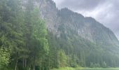 Trail Walking Montriond - Lac de Montrion, cascade d’Argent - Photo 1