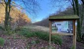 Tour Wandern Theux - Theux Natura 2000 château Franchimont - Photo 9