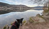 Randonnée Marche Gérardmer - Tour du lac de Gerardmer - Photo 2