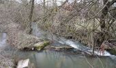 Tour Zu Fuß Bad Mergentheim - Schönbühler Weg - Photo 2