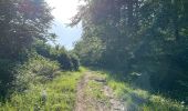 Randonnée Marche Rethondes - en forêt de Laigue_15_07_2021_autour du Mont du Fouilleux et du Mont des Singes - Photo 8