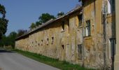 Randonnée A pied Gemeinde Sulz im Weinviertel - Wanderung rund um die Nexinger Teiche - Photo 7