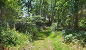 Trail Walking Meix-devant-Virton - Gerouville 060723 - Photo 15