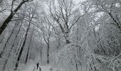 Percorso Marcia Aquisgrana - Aachenerwald ❄️⛄️ - Photo 3