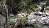 Trail Walking Moca-Croce - piscia di l onda - Photo 1