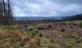 Trail Walking Manhay - Deux Rys 120423 - Photo 9