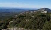 Excursión Senderismo Plan-d'Aups-Sainte-Baume - la sainte beaume  - Photo 6