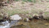 Tocht Stappen Monschau - Kalterherberg - rocher du Bieley - Photo 6